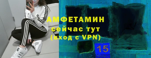 сатива Нефтекумск