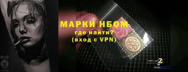 сатива Нефтекумск