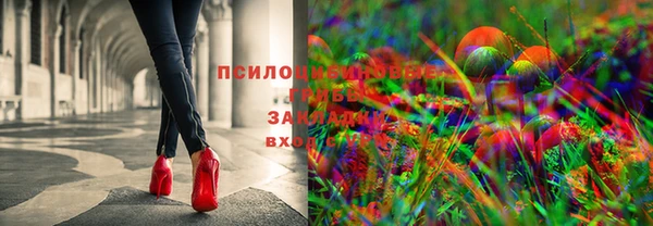 сатива Нефтекумск