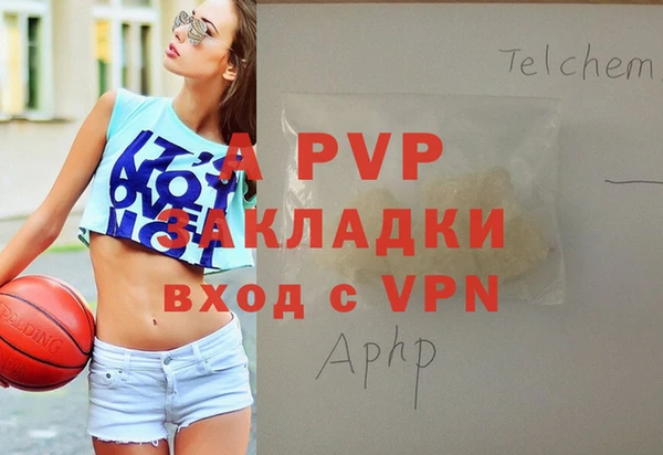 сатива Нефтекумск