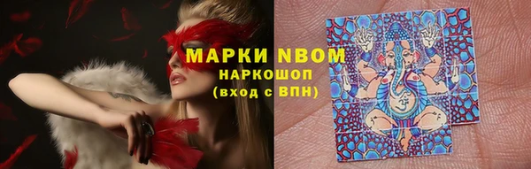 крисы Нефтегорск